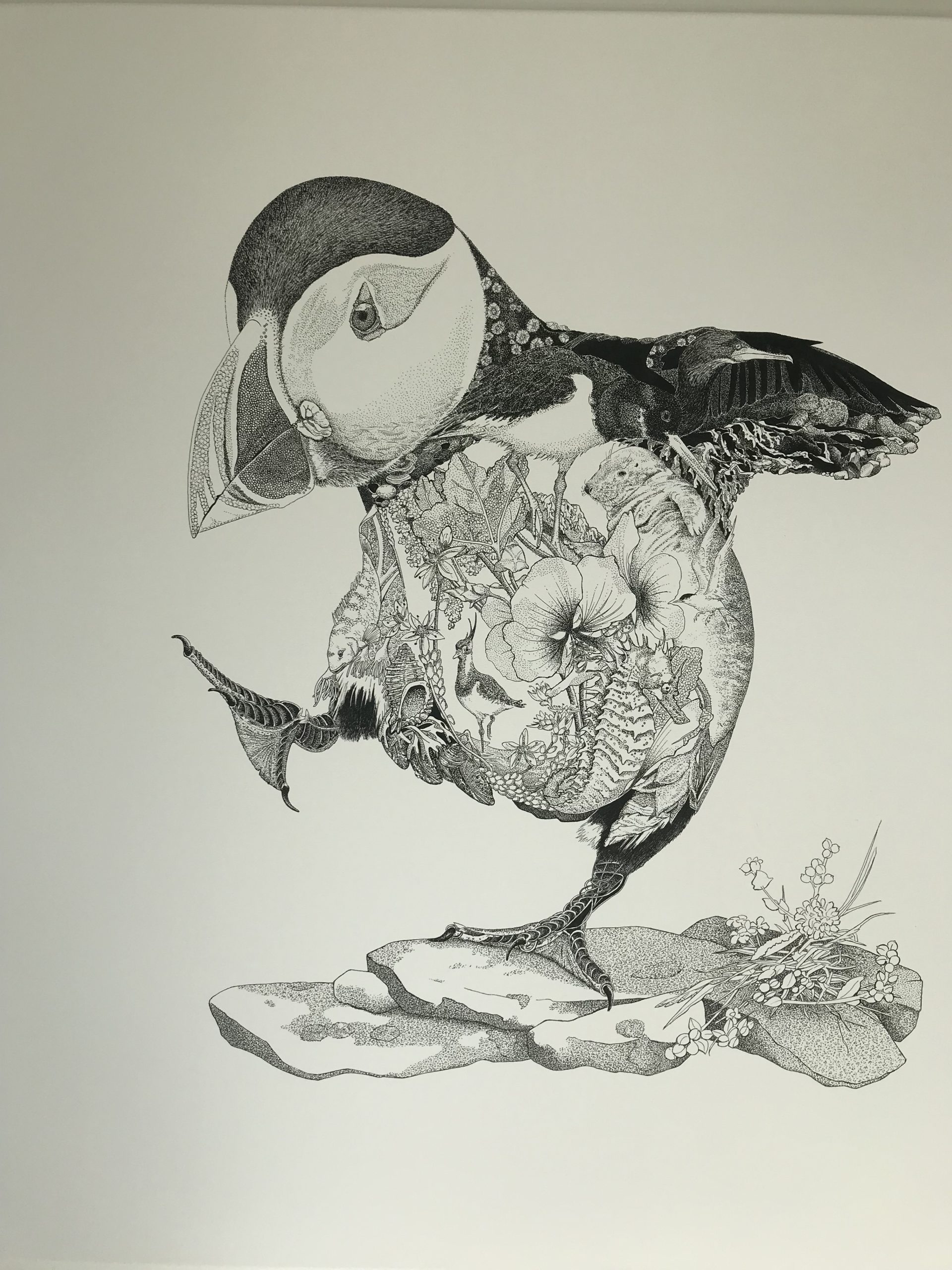 A black and white art piece with various wildlife animals and plants forming the shape of a baby toucan bird