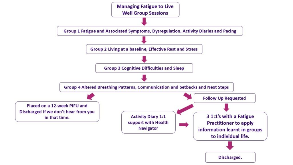 Flow chart description of what each group session includes.