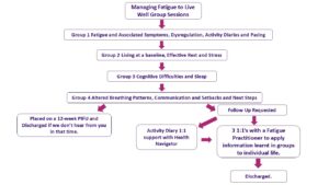 Flow chart description of what each group session includes.