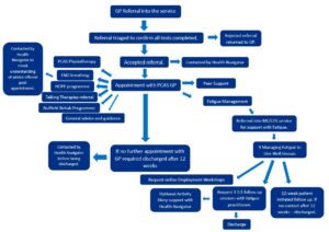 Flowchart showing the journey through the PCAS service