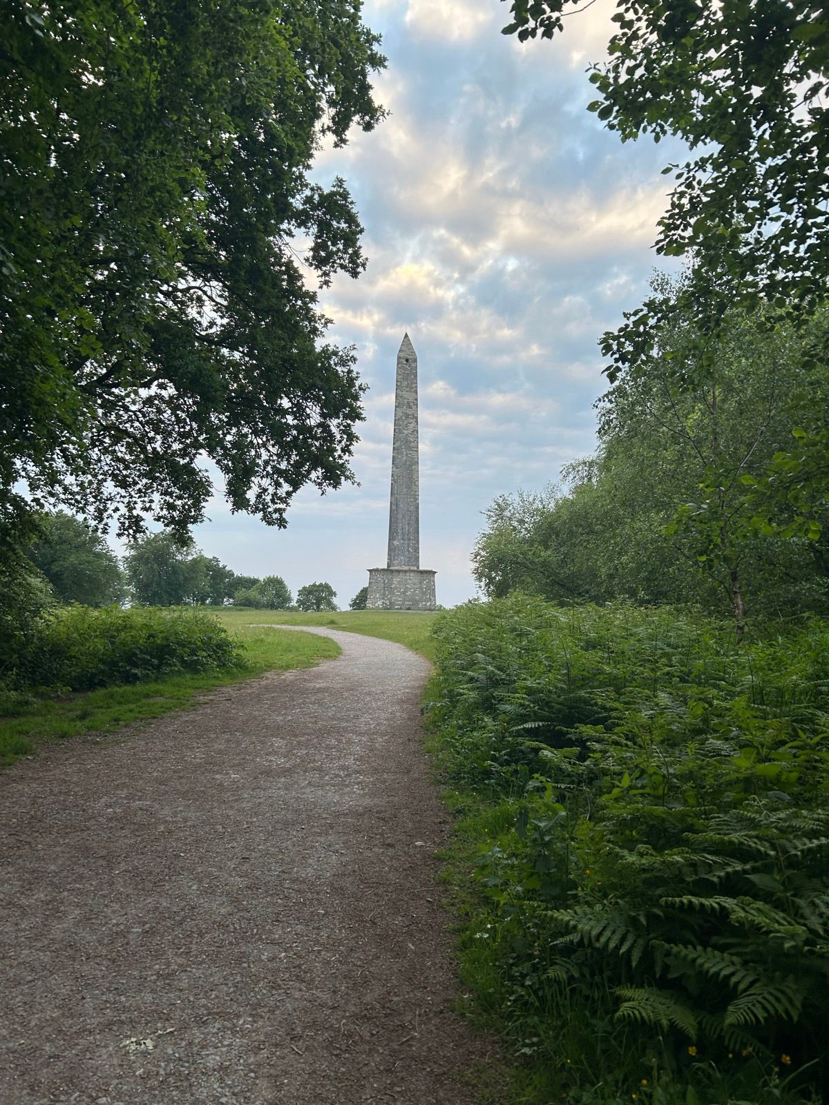 wellington monument