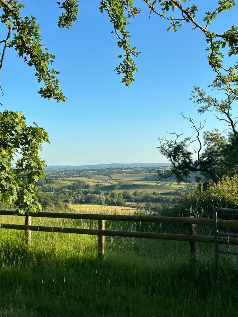 view of fields