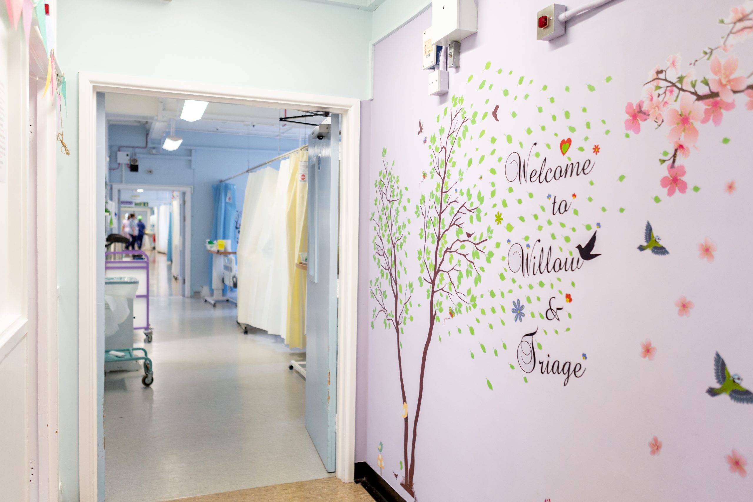 A brightly lit hospital corridor with a wall mural with green leaves, birds and flowers near the entrance of the ward. The mural has the text 